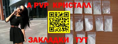 стаф Новокубанск