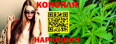 мяу мяу мука Новозыбков