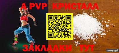 стаф Новокубанск