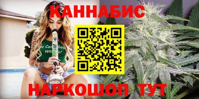 стаф Новокубанск