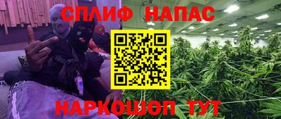 стаф Новокубанск